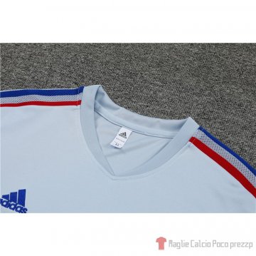 Maglia De Allenamento Lyon 22-23 Gris