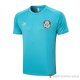 Maglia De Allenamento Palmeiras 23-24 Verde