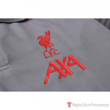 Maglia Polo Liverpool 20-21 Grigio