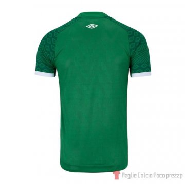 Thailandia Maglia Chapecoense Home 2021