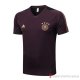 Maglia De Allenamento Germania 22-23 Marron