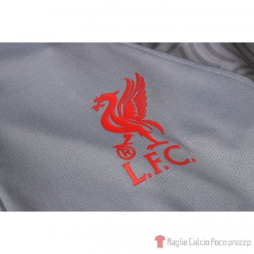 Tuta Da Track Felpa Liverpool 2020-21 Grigio