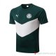 Maglia De Allenamento Palmeiras 2022-23 Verde