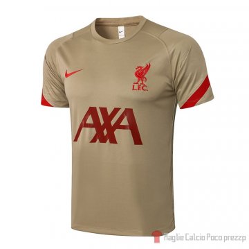 Allenamento Liverpool 21-22 Giallo Allenamento Liverpool 21-22 Giallo