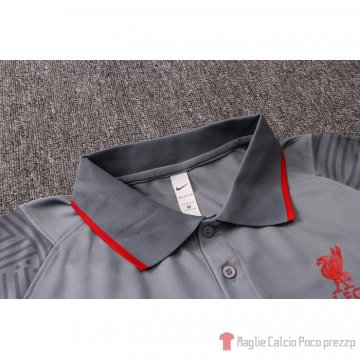 Maglia Polo Liverpool 20-21 Grigio