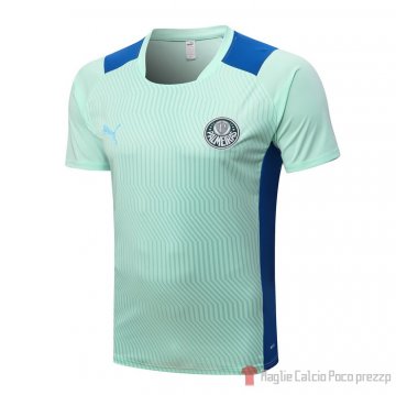 Maglia De Allenamento Palmeiras 22-23 Verde