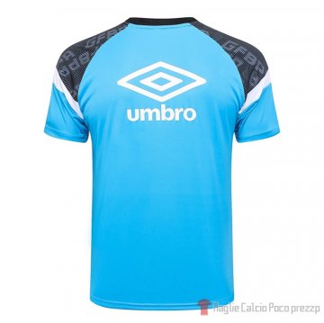 Maglia De Allenamento Gremio 2023-24 Azul