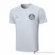 Maglia De Allenamento Palmeiras 23-24 Gris