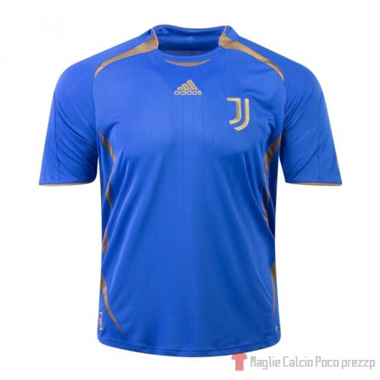 Maglia De Allenamento Juventus Teamgeist 21-22 Azul - Clicca l'immagine per chiudere