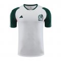 Maglia De Allenamento Messico 23-24 Blanco