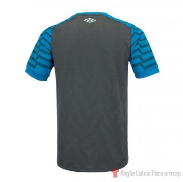 Thailandia Maglia Gremio Portiere 2021 Gris