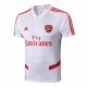 Allenamento Arsenal 2019/2020 Bianco