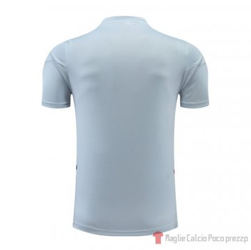 Maglia De Allenamento Lyon 22-23 Gris